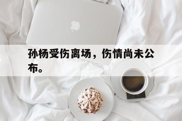 海星直播APP-孙杨受伤离场，伤情尚未公布。