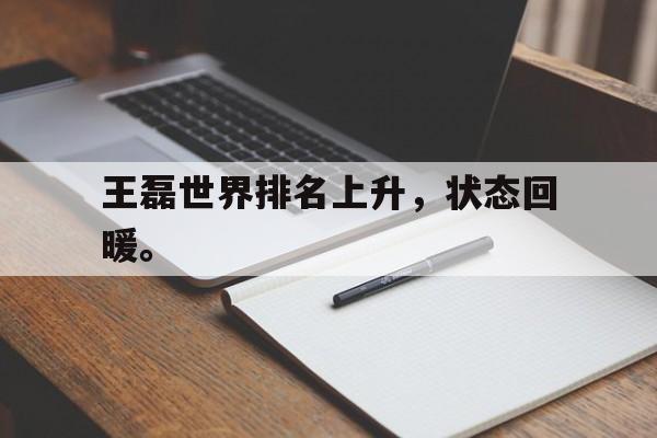海星直播APP-王磊世界排名上升，状态回暖。