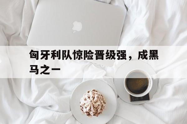 海星体育-匈牙利队惊险晋级强，成黑马之一